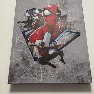 Marvel Spider-Man Art work picture